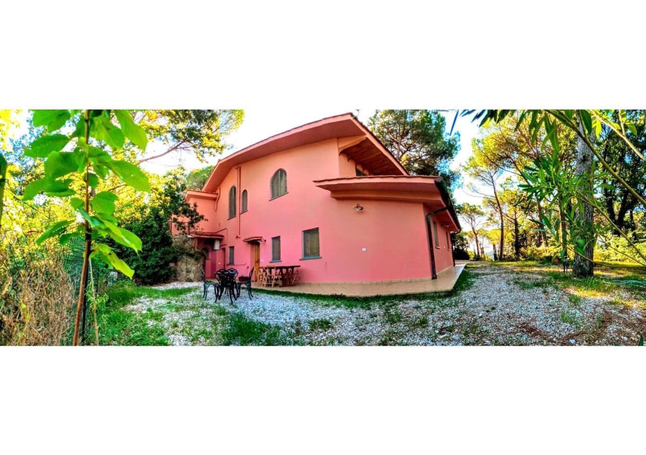 Agriturismo Poggio Al Pino Montelupo Fiorentino Kültér fotó