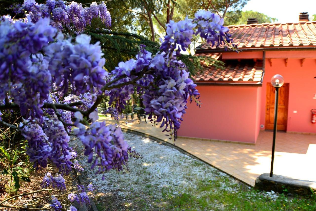 Agriturismo Poggio Al Pino Montelupo Fiorentino Kültér fotó