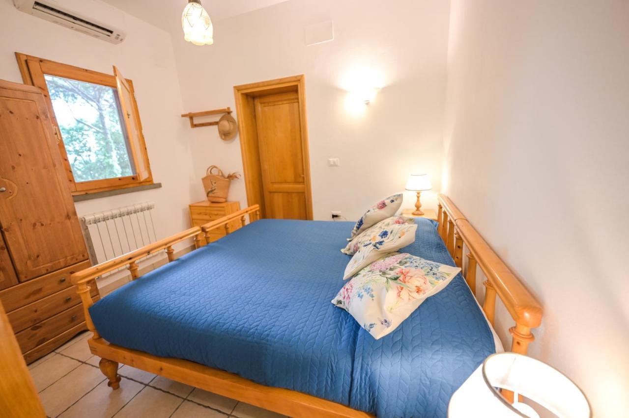 Agriturismo Poggio Al Pino Montelupo Fiorentino Kültér fotó